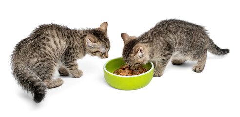 Two adorable tabby kittens eating from a green bowl on white background.