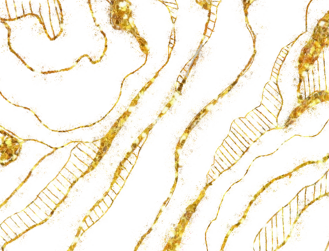 Abstract topographic map lines and textures