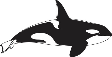 Monochrome depiction of a killer whale in a minimalist black and white vector style © dinny