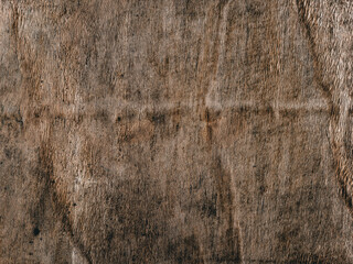 Embrace the Natural Canvas: Elevate Your Designs with the Enchanting Beauty of Wooden Texture