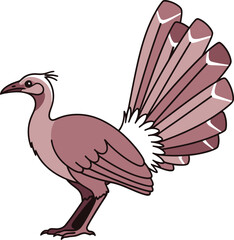 Stylized avian illustration with elaborate tail plumage against a contrasting backdrop elegant
