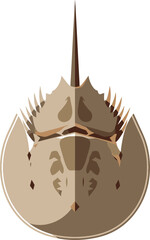 Stylized horseshoe crab illustration conveying ancient marine life and simplistic design principles