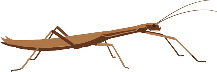 Stylized illustration of a stick insect against a stark black backdrop providing a strong visual © dinny