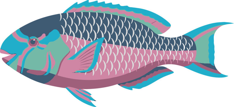Stylized parrotfish illustration showcasing vibrant colors and unique scale pattern design