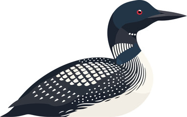 Stylized vector illustration of a common loon with detailed plumage design