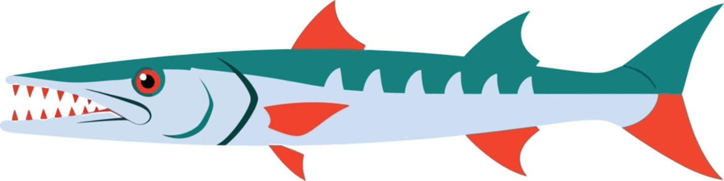 Vibrant barracuda with aggressive features on a solid black background illustration