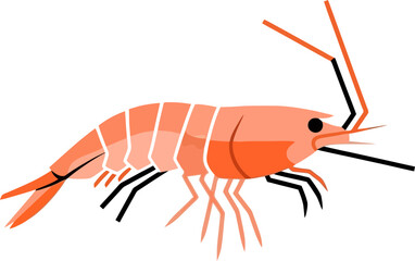 A simplified illustration of a shrimp rendered in a cartoonish flat style against a dark backdrop