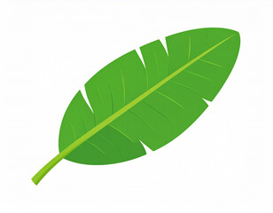 Fototapeta premium Fresh green tropical banana leaf on a clean white background, showcasing natural texture, vibrant color, and simple botanical shape suitable for eco-themed designs
