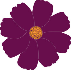 Obraz premium pink flower isolated on white background