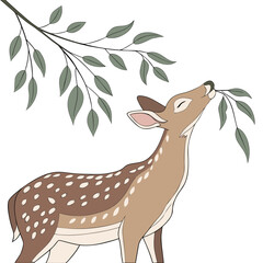 Charming illustration of a spotted fawn gently nibbling leaves from a tree branch against a white background