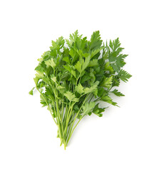Fresh green parsley bunch on white background.