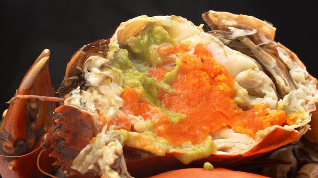 Extreme macro of steaming hot crab roe (Vietnamese mud crab). Detailed texture of orange eggs and fat inside shell. Black background.