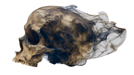 A weathered human skull profile with black smoke isolated on a white background, a scary death head with dark mist, a spooky horror concept, a creepy halloween bone symbol.