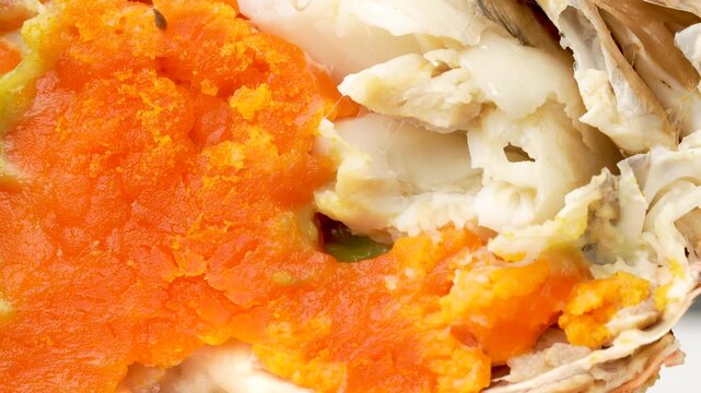 Extreme macro of steaming hot crab roe (Vietnamese mud crab). Detailed texture of orange eggs and fat inside shell. Black background.