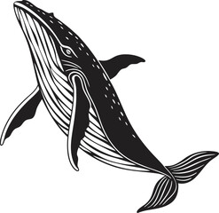 Whale silhouette isolated on white background