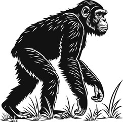 Chimpanzee silhouette isolated on white background