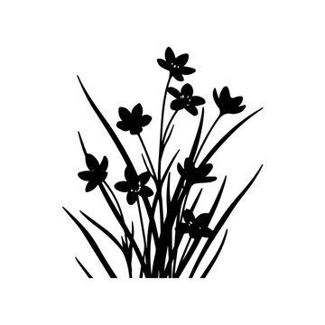 Black silhouette of starflowers