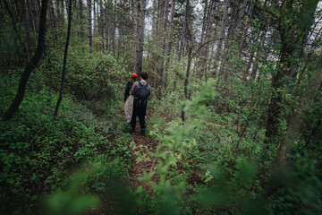 Fototapeta premium Two hikers backpacking through a dense green forest scene. The trail winds among trees and shrubbery, capturing a moment of exploration, nature, and calm adventure in a secluded woodland setting.