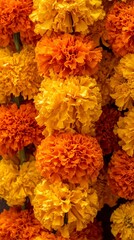 Vibrant marigold flower garland texture showcasing vivid orange and yellow shades for festive occasions