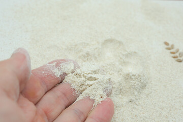 Organic Whole Wheat Flour in Hand. Copy space. Minimalism.