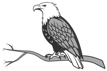 Eagle on Branch Illustration Print | Majestic Bird Art