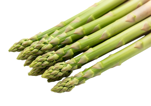 A closeup view of several fresh green asparagus spears lying diagonally against a pure transparent background, isolated on transparent background