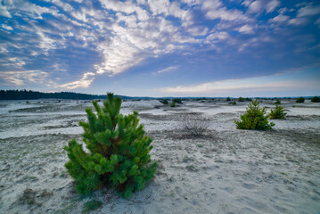  Pustynia Błędowska początek zachodu słońca 2
