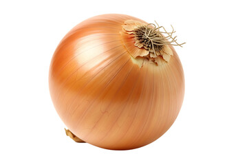 A single, whole yellow onion with dry, papery outer skin shown against a pure transparent background, highlighting its round shape and root end