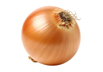 A single, whole yellow onion with dry, papery outer skin shown against a pure transparent background, highlighting its round shape and root end