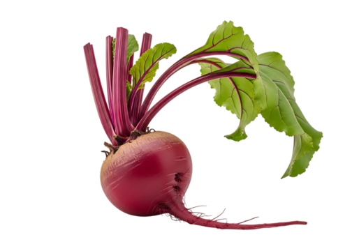 Fresh raw red beet vegetable with vibrant green leaves and long root tail isolated on transparent background
