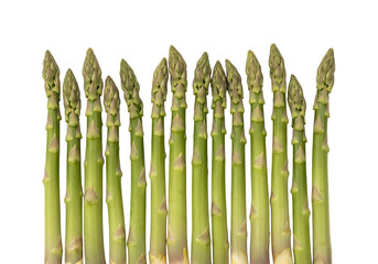 A row of fresh green asparagus spears standing upright, isolated on transparent background