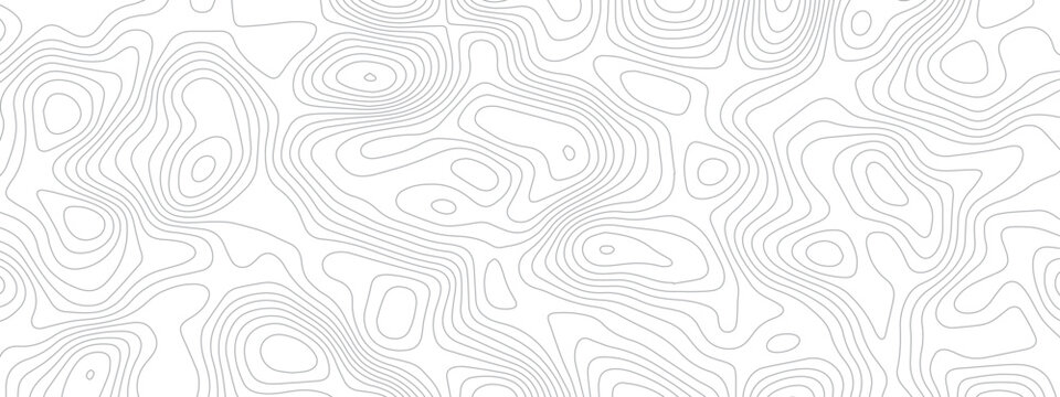 topographic seamless pattern with lines. abstract pattern with swirls. white wave paper curved reliefs background. geographic mountain relief. topographic contour lines vector background.