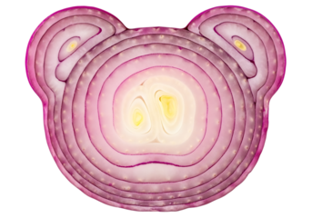 Cross section of a red onion slice creatively cut and shaped like a bear face isolated on transparent background