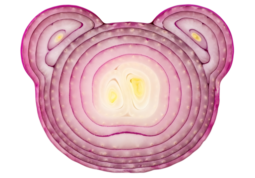 Cross section of a red onion slice creatively cut and shaped like a bear face isolated on transparent background