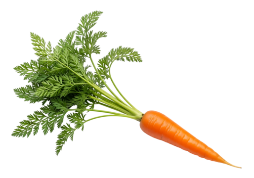 Fresh organic carrot with vibrant green leafy top, perfectly isolated on transparent background for clean presentation and easy editing