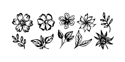 Hand Drawn Floral Elements with Transparent Background 3