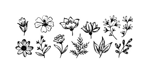 Hand Drawn Floral Elements with Transparent Background 4 © zalal