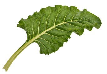 A single, vibrant green leaf of swiss chard with prominent pale veins and a light green stem, isolated on transparent background