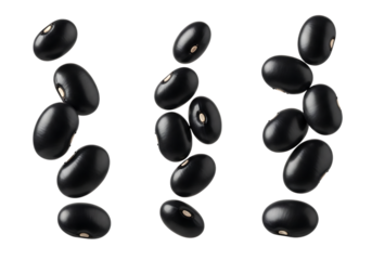 Several glossy black beans appear to be falling or floating against a pure transparent background, showcasing their smooth texture and oval shape