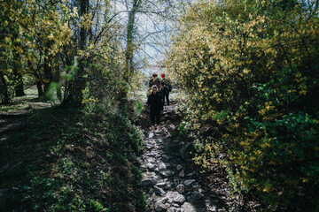 Fototapeta premium A small group of hikers treks a rugged, stone-strewn trail through a lush forest. Bright spring leaves frame the scene as friends share the journey and fresh air.