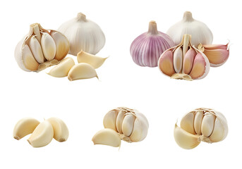 Fototapeta premium Various fresh garlic bulbs and cloves displayed in different arrangements isolated on transparent background