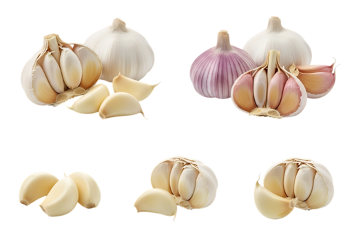 Various fresh garlic bulbs and cloves displayed in different arrangements isolated on transparent background