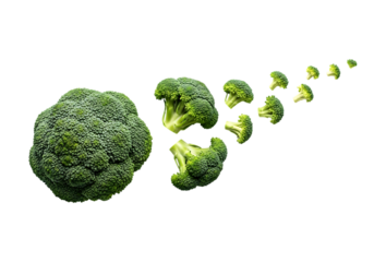 A large head of fresh green broccoli shrinking into smaller florets moving away diagonally isolated on transparent background