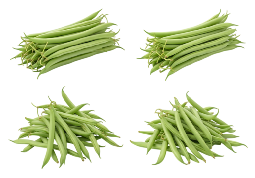 Four separate piles of fresh raw green beans arranged against a stark transparent background, ready for cooking or consumption