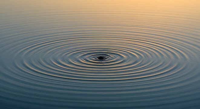 The abstract beauty of concentric ripples in water.