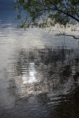 Spiegelung von &Auml;sten und Wassertropfen in einem See