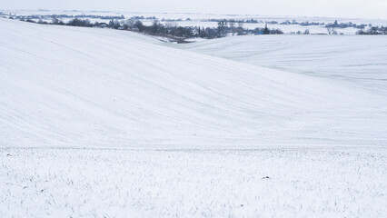 Scenic snowy farmland with soft hills and village in background during winter