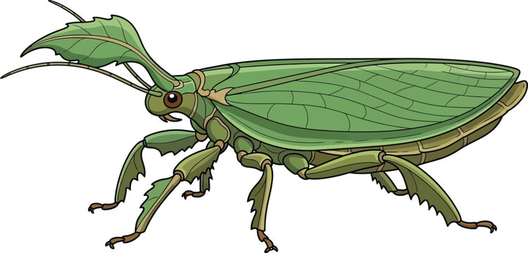 Green leaf insect vector illustration realistic praying mantis camouflage art