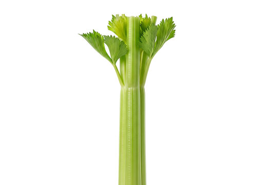 A single stalk of fresh, crisp green celery with vibrant leaves, isolated on transparent background