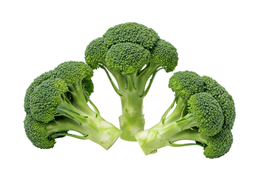 Three fresh green broccoli florets arranged in a small cluster, isolated on transparent background for a clean presentation